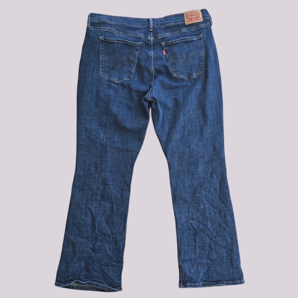 Levis - Picture 7 of 7